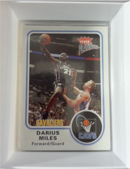 2002-03 Fleer Platinum #84 Darius Miles — front