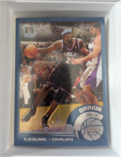 2002-03 Topps Chrome #106 Darius Miles — front