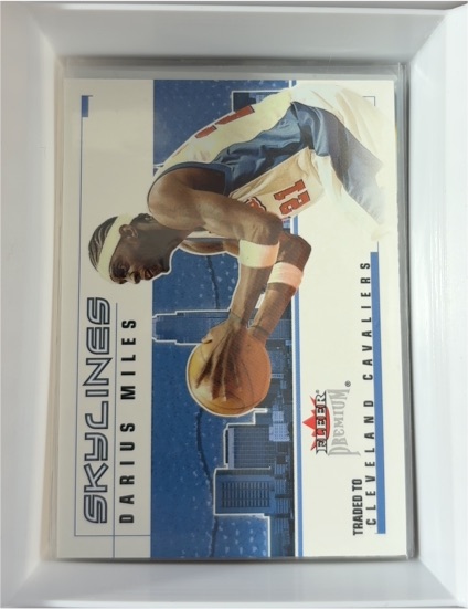 2002-03 Fleer Premium Skylines #7 Darius Miles — front