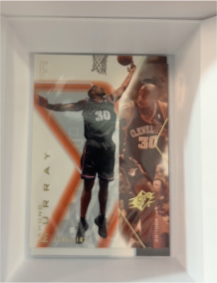 2001-02 Upper Deck SPx #14 Lamond Murray — front