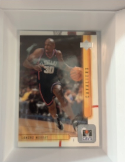 2001-02 Upper Deck #25 Lamond Murray — front