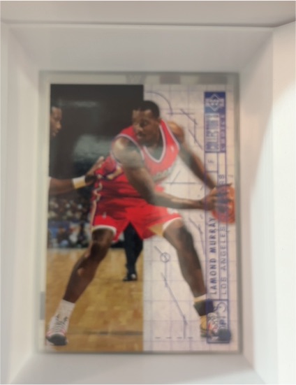 1994-95 Upper Deck Collector's Choice #383 Lamond Murray — front