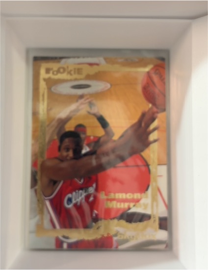 1994-95 Skybox Emotion #107 Lamond Murray Rookie — front