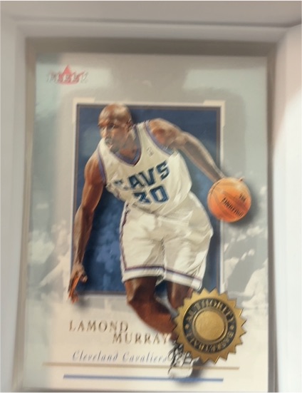 2000-01 Fleer Authority #71 Lamond Murray — front