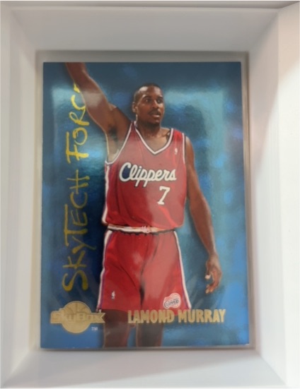 1994-95 SkyBox Premium #SF17 Lamond Murray SkyTech Force — front