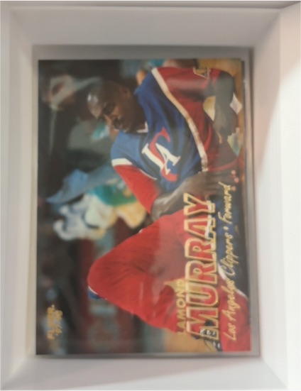 1997-98 Fleer Traditions #254 Lamond Murray — front