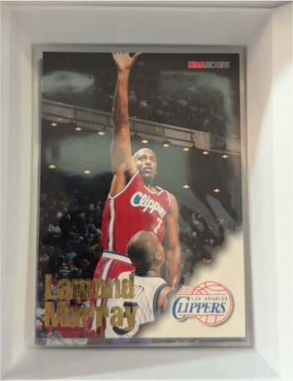 1996-97 NBA Hoops #214 Lamond Murray — front