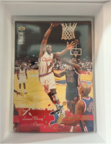 1995-96 Upper Deck Collector's Choice #208 Lamond Murray — front