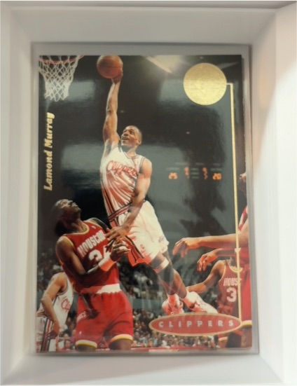 1994-95 Upper Deck SP Championship #73 Lamond Murray — front