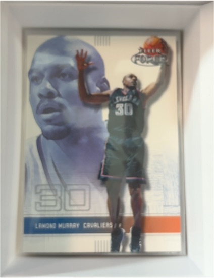 2001-02 Fleer Force #141 Lamond Murray Cleveland Cavaliers — front