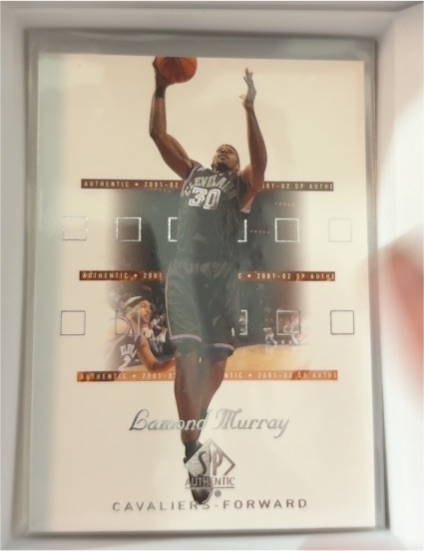 2001-02 Upper Deck SP Authentic #14 Lamond Murray — front