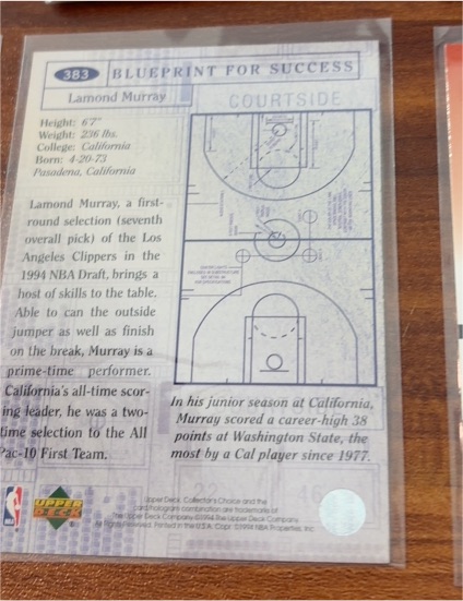 1994-95 Upper Deck Collector's Choice #383 Lamond Murray — front