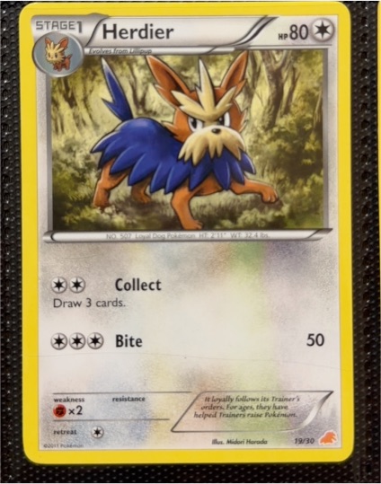 2011 Pokémon Black & White #19 Herdier — front