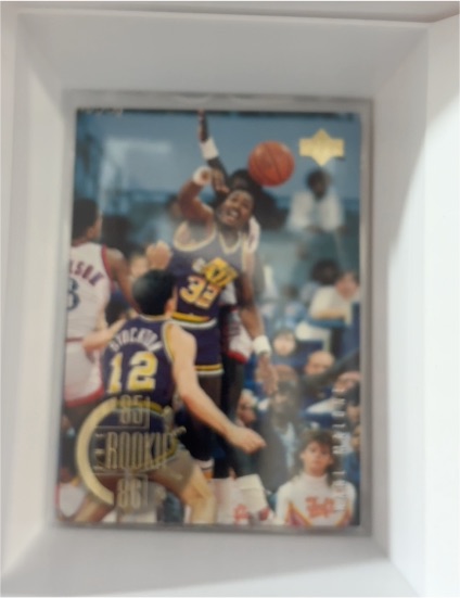 1995-96 Upper Deck #142 Karl Malone — front