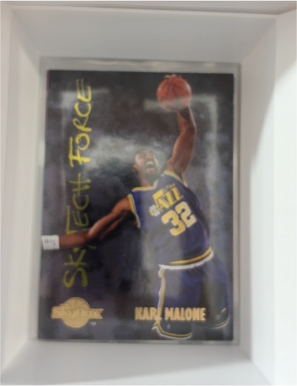 1994-95 SkyBox SkyTech Force #SF13 Karl Malone — front
