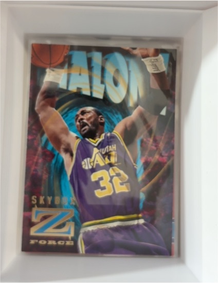 1996-97 Skybox Z-Force #90 Karl Malone — front