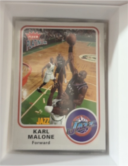 2002-03 Fleer Platinum #93 Karl Malone — front
