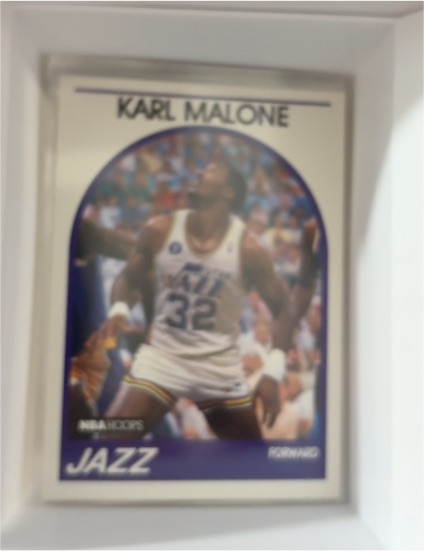 1989-90 NBA Hoops #30 Karl Malone — front