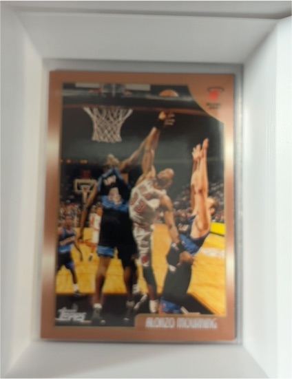 1998-99 Topps #20 Alonzo Mourning — front