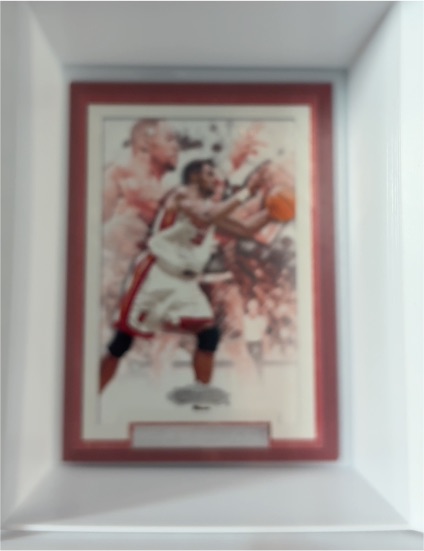 Dwyane Wade Framed Basketball Art Card — front