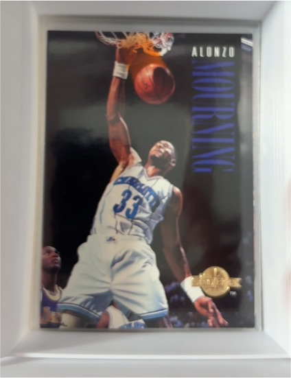 1994-95 SkyBox Premium #20 Alonzo Mourning — front