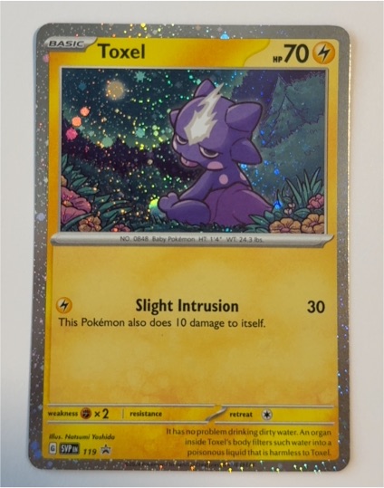 2024 Scarlet & Violet Black Star Promo #119 Toxel — front