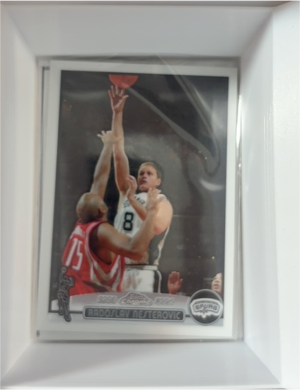 2003-04 Topps Chrome #90 Radoslav Nesterovic — front