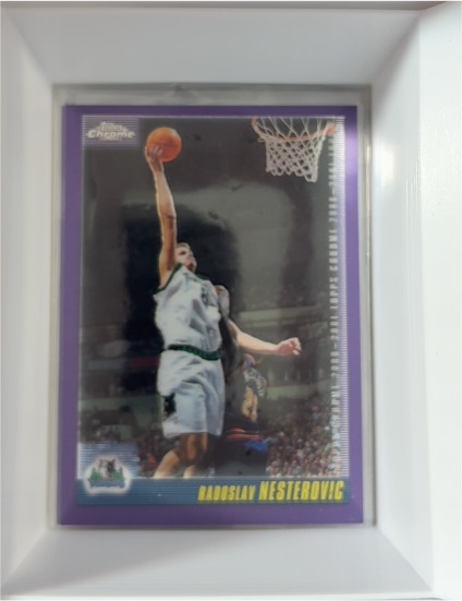 2000-01 Topps Chrome #23 Radoslav Nesterovic — front