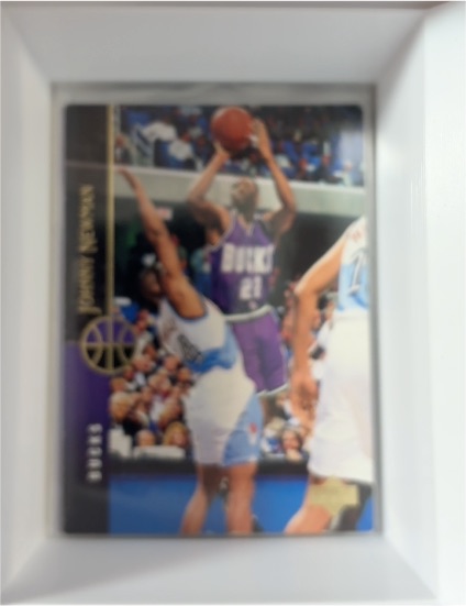 1994-95 Upper Deck #349 Johnny Newman — front