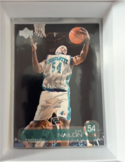 2002-03 Upper Deck #110 Lee Nailon — front