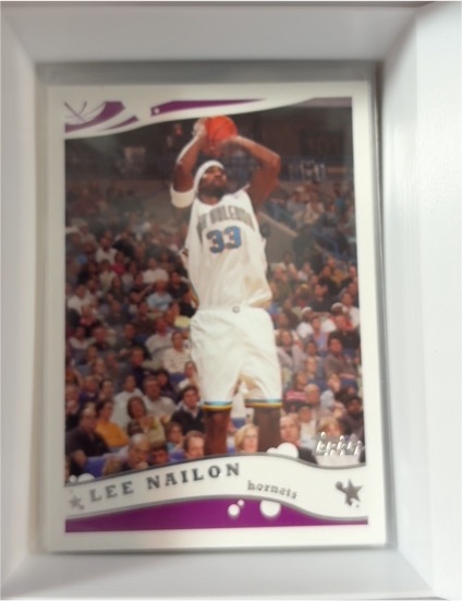 2005-06 Topps #19 Lee Nailon — front