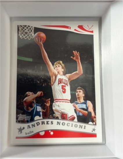 2005-06 Topps #212 Andres Nocioni — front