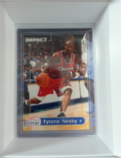 1999-00 SkyBox Impact #105 Tyrone Nesby — front