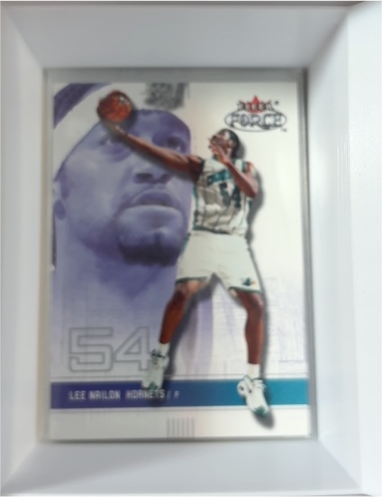 2001-02 Fleer Force #177 Lee Nailon — front