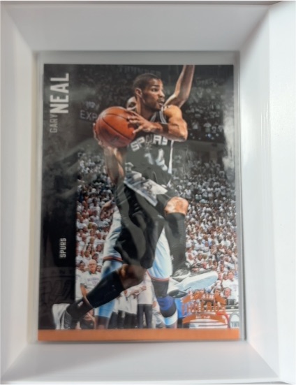 2012-13 Panini Threads #132 Gary Neal — front