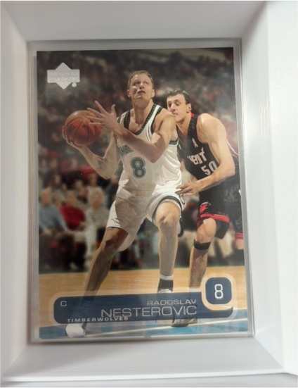 2002-03 Upper Deck #97 Radoslav Nesterovic — front