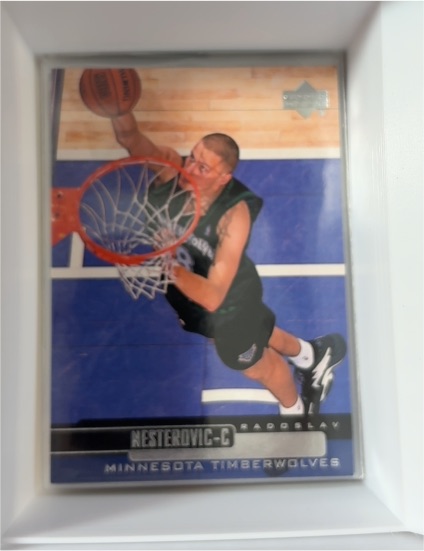 1999-00 Upper Deck #74 Radoslav Nesterovic — front
