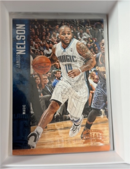 2012-13 Panini Threads #105 Jameer Nelson — front