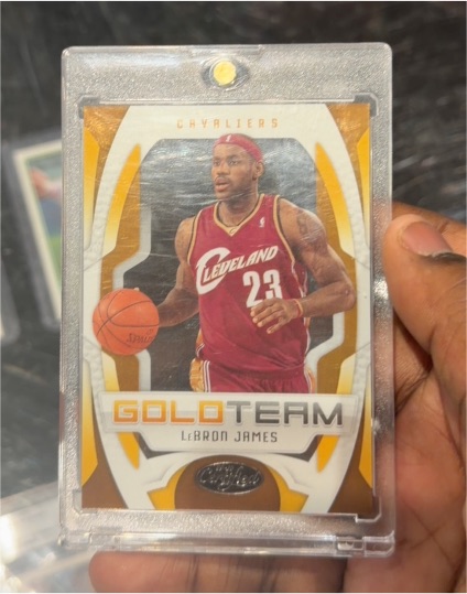 2009-10 Panini Certified #10 LeBron James Gold Team — front