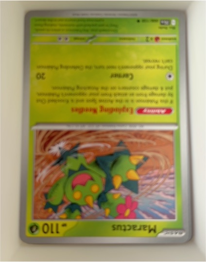 2023 Pokémon SV09 #008 Maractus — front