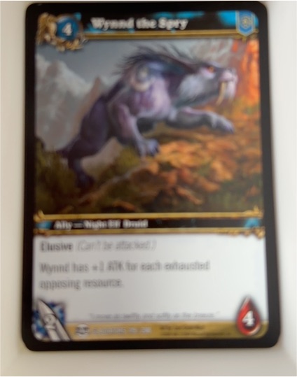 2009 World of Warcraft TCG Blood of the Gladiators #119 Wynnd the Spry — front