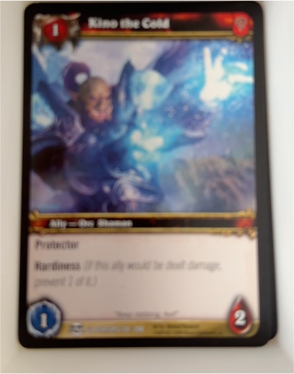 2009 World of Warcraft TCG Blood of Gladiators #138 Kino the Cold — front