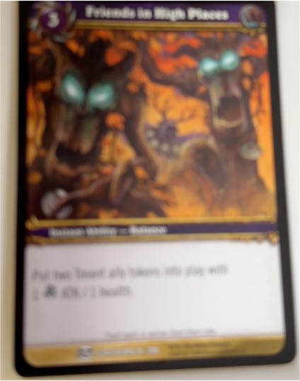 World of Warcraft TCG Blood of the Gladiators #19 Friends in High Places — front