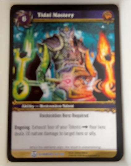 2013 World of Warcraft TCG: Timewalkers - Reign of Fire Tactical Mastery #60 — front