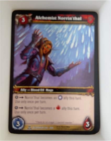 2008 World of Warcraft TCG Servants of the Betrayer #158 Alchemist Norrin'thal — front