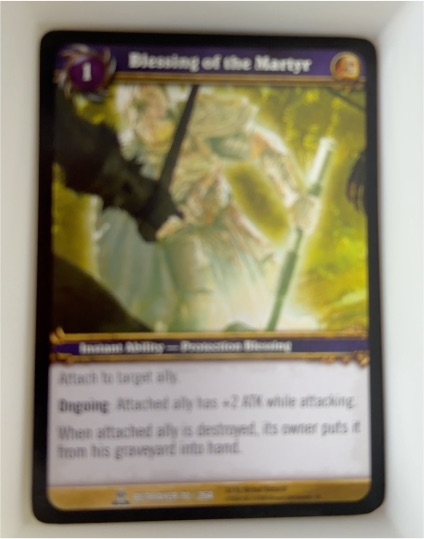 2008 World of Warcraft TCG Servants of the Betrayer #70 Blessing of the Martyr — front