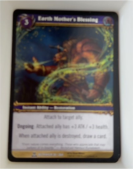 2008 World of Warcraft TCG Servants of the Betrayer #38 Earth Mother's Blessing — front