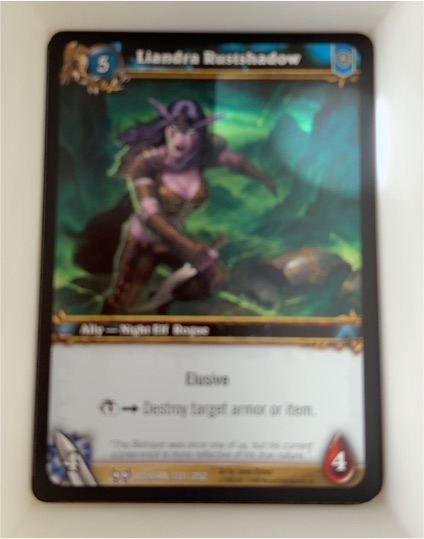 2008 World of Warcraft TCG The Hunt for Illidan #131 Liandra Rustshadow — front