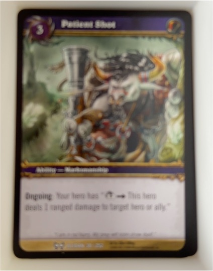 World of Warcraft TCG The Hunt for Illidan #38 Patient Shot — front