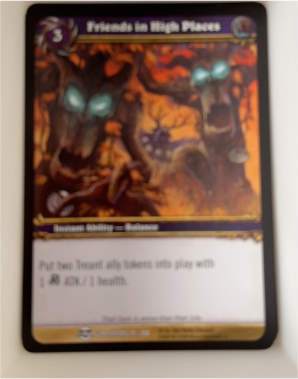 2009 World of Warcraft TCG Blood of Gladiators #19 Friends in High Places — front